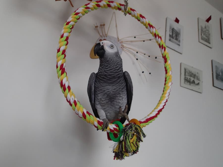 2025-12-19-kruh 2.jpg